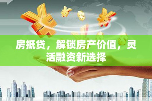 大洼房抵贷，解锁房产价值，灵活融资新选择