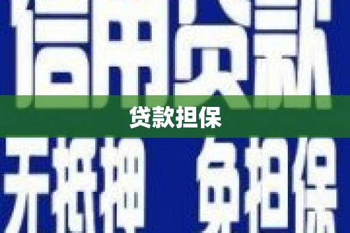 大洼贷款担保