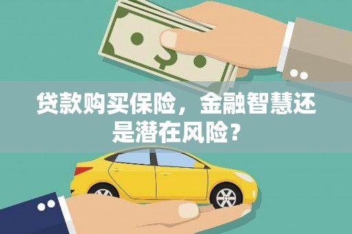 大洼贷款购买保险，金融智慧还是潜在风险？