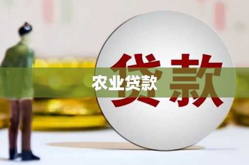 大洼农业贷款