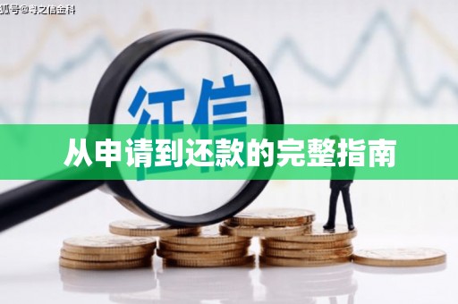 大洼从申请到还款的完整指南