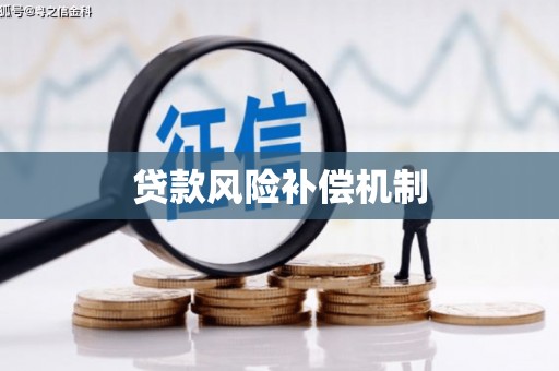大洼贷款风险补偿机制