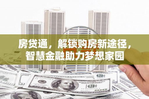 大洼房贷通，解锁购房新途径，智慧金融助力梦想家园