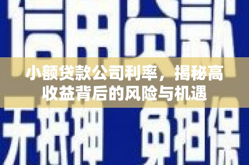 大洼小额贷款公司利率，揭秘高收益背后的风险与机遇