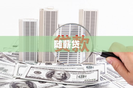 大洼随薪贷
