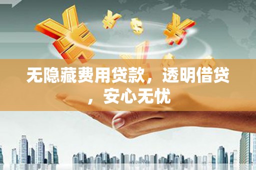 大洼无隐藏费用贷款，透明借贷，安心无忧
