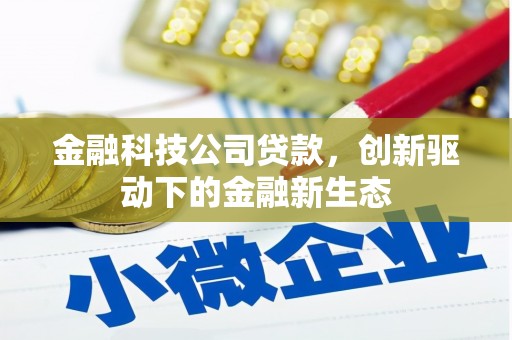 大洼金融科技公司贷款，创新驱动下的金融新生态