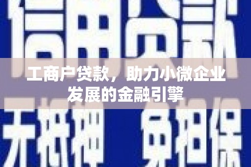 大洼工商户贷款，助力小微企业发展的金融引擎