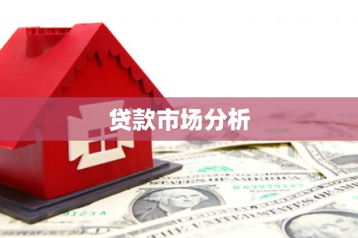 大洼贷款市场分析