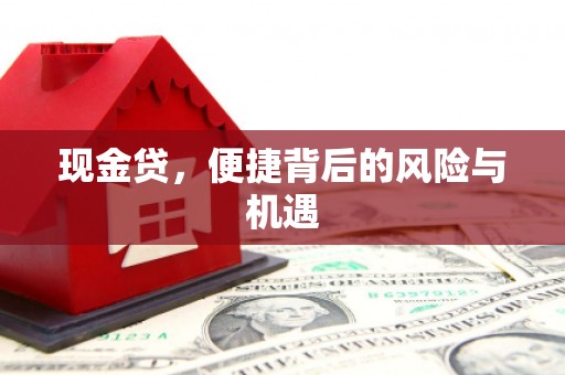 大洼现金贷，便捷背后的风险与机遇