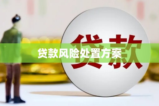 大洼贷款风险处置方案