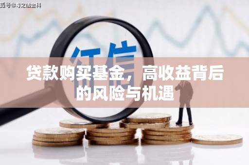 大洼贷款购买基金，高收益背后的风险与机遇