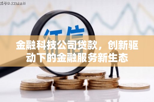 大洼金融科技公司贷款，创新驱动下的金融服务新生态