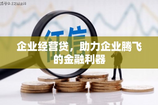 大洼企业经营贷，助力企业腾飞的金融利器