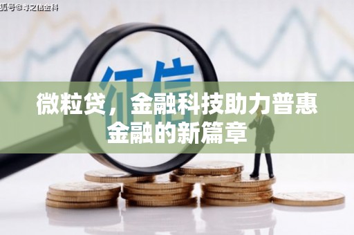 大洼微粒贷，金融科技助力普惠金融的新篇章