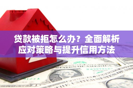 大洼贷款被拒怎么办？全面解析应对策略与提升信用方法