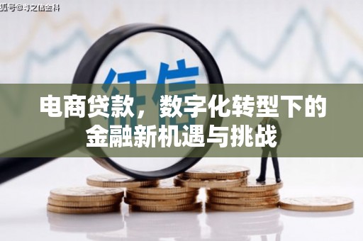大洼电商贷款，数字化转型下的金融新机遇与挑战
