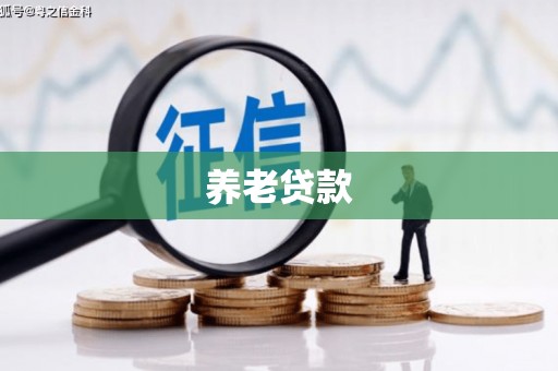 大洼养老贷款