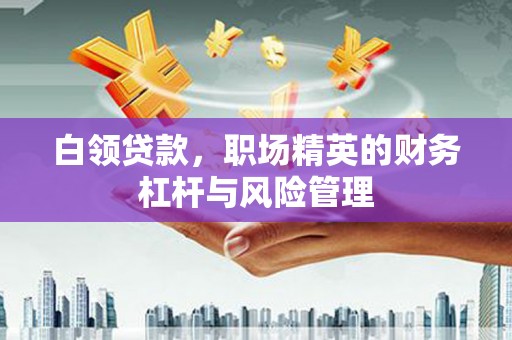 大洼白领贷款，职场精英的财务杠杆与风险管理