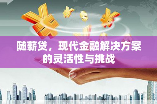 大洼随薪贷，现代金融解决方案的灵活性与挑战