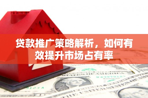 大洼贷款推广策略解析，如何有效提升市场占有率