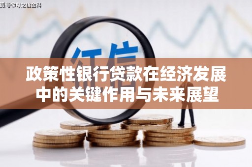大洼政策性银行贷款在经济发展中的关键作用与未来展望