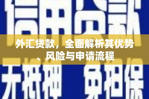大洼外汇贷款，全面解析其优势、风险与申请流程