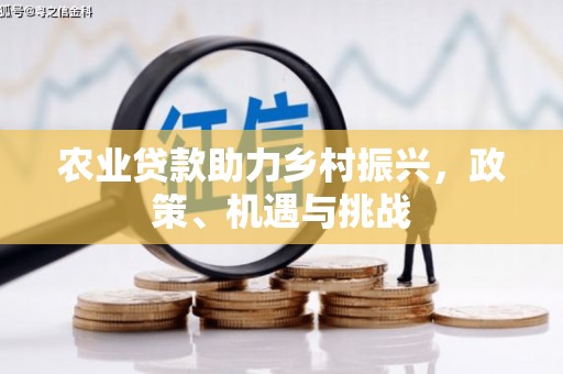 大洼农业贷款助力乡村振兴，政策、机遇与挑战