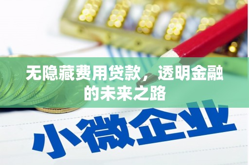 大洼无隐藏费用贷款，透明金融的未来之路