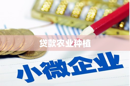 大洼贷款农业种植