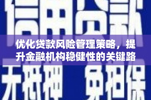 大洼优化贷款风险管理策略，提升金融机构稳健性的关键路径