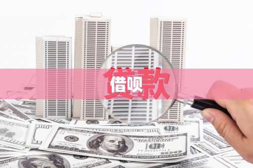 大洼借呗
