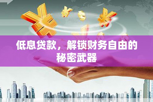 大洼低息贷款，解锁财务自由的秘密武器
