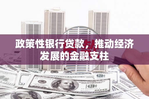 大洼政策性银行贷款，推动经济发展的金融支柱