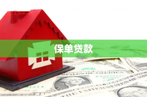 大洼保单贷款
