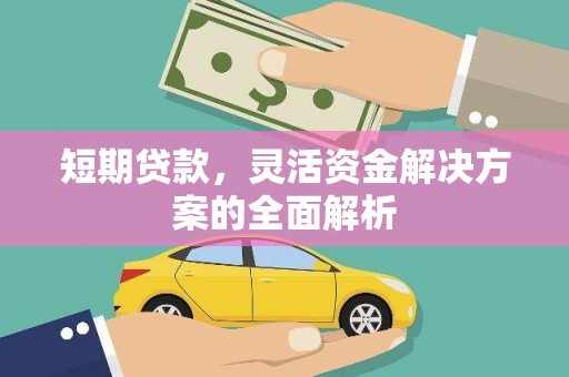大洼短期贷款，灵活资金解决方案的全面解析