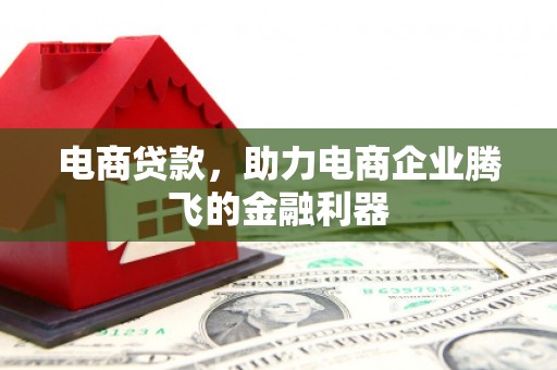大洼电商贷款，助力电商企业腾飞的金融利器