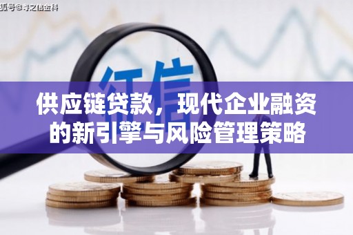 大洼供应链贷款，现代企业融资的新引擎与风险管理策略