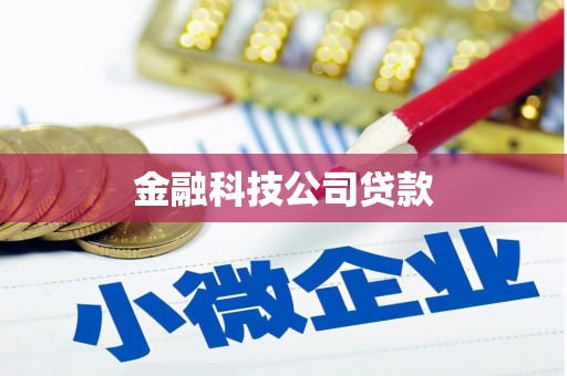 大洼金融科技公司贷款