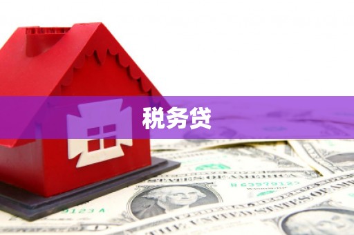 大洼税务贷