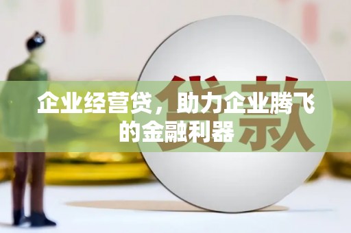 大洼企业经营贷，助力企业腾飞的金融利器