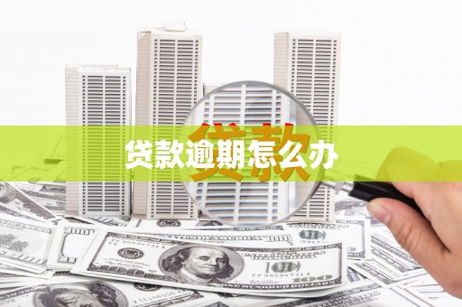 大洼贷款逾期怎么办