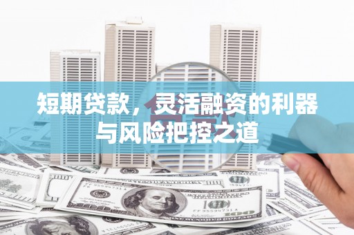 大洼短期贷款，灵活融资的利器与风险把控之道
