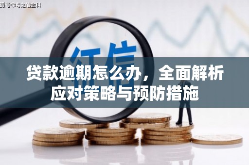大洼贷款逾期怎么办，全面解析应对策略与预防措施