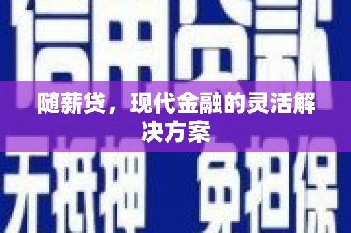 大洼随薪贷，现代金融的灵活解决方案