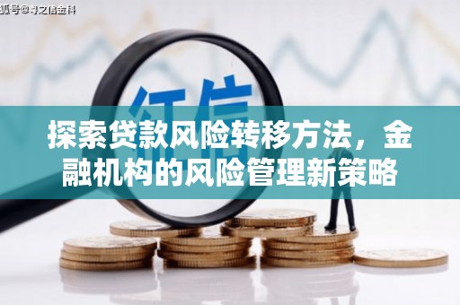 大洼探索贷款风险转移方法，金融机构的风险管理新策略