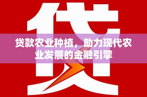 大洼贷款农业种植，助力现代农业发展的金融引擎