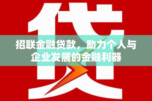 大洼招联金融贷款，助力个人与企业发展的金融利器