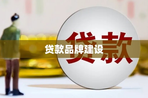 大洼贷款品牌建设