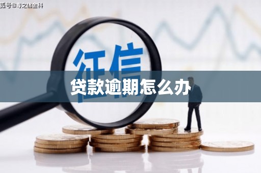大洼贷款逾期怎么办